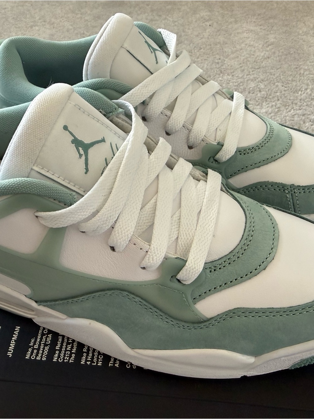 Jordan Low Top Sneakers in Seafoam & White